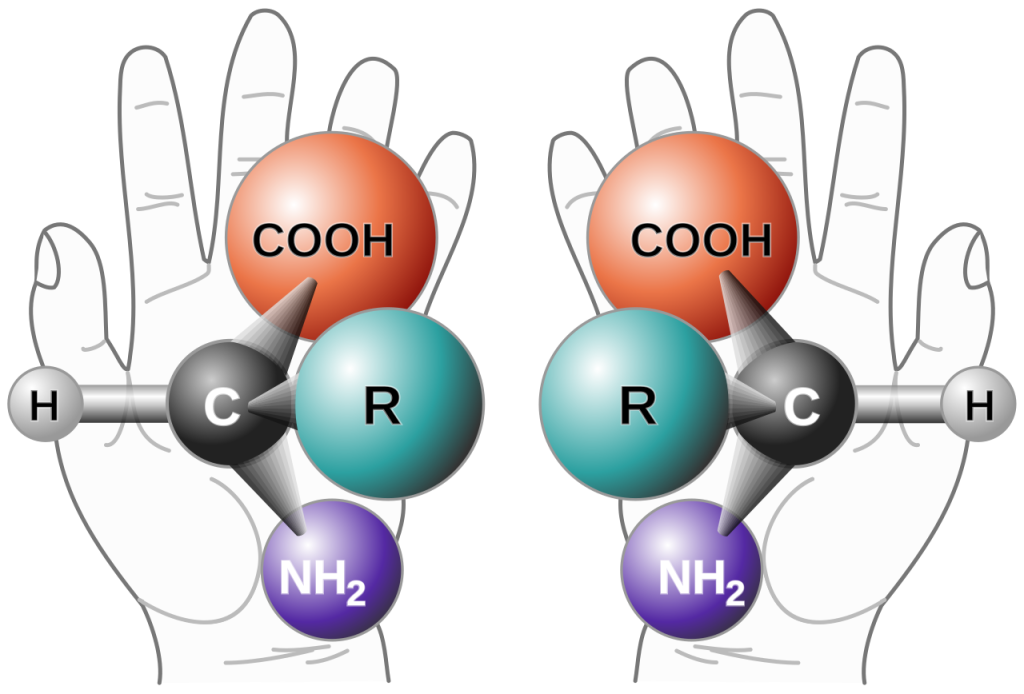 Die beiden Enantiomere eines chiralen Moleküls unterscheiden sich räumlich voneinander im Aufbau, ähnlich wie rechte und linke Hand.