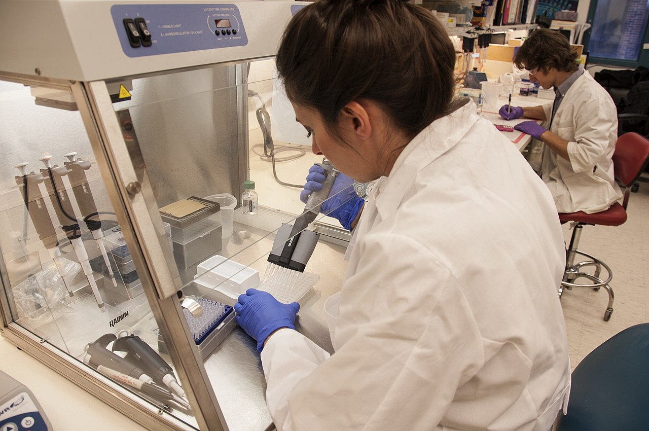 Stammzellforschung im Labor des National Institutes of Health campus in Bethesda, 2014